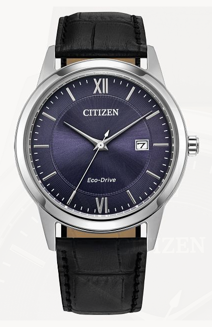 Men's Citizen Eco Drive Watch