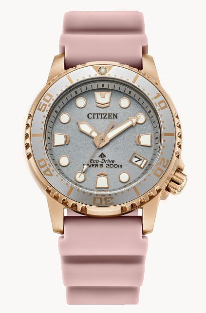 Women's Citizen Eco Drive Watch
