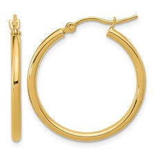 Precious Metal (No Stones) Earring