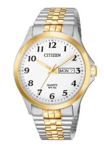 Mens Citizen Watch