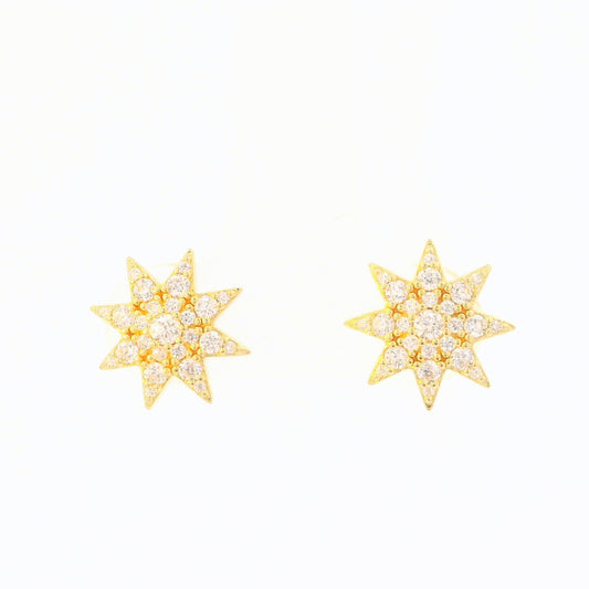 Colored Stone Earring